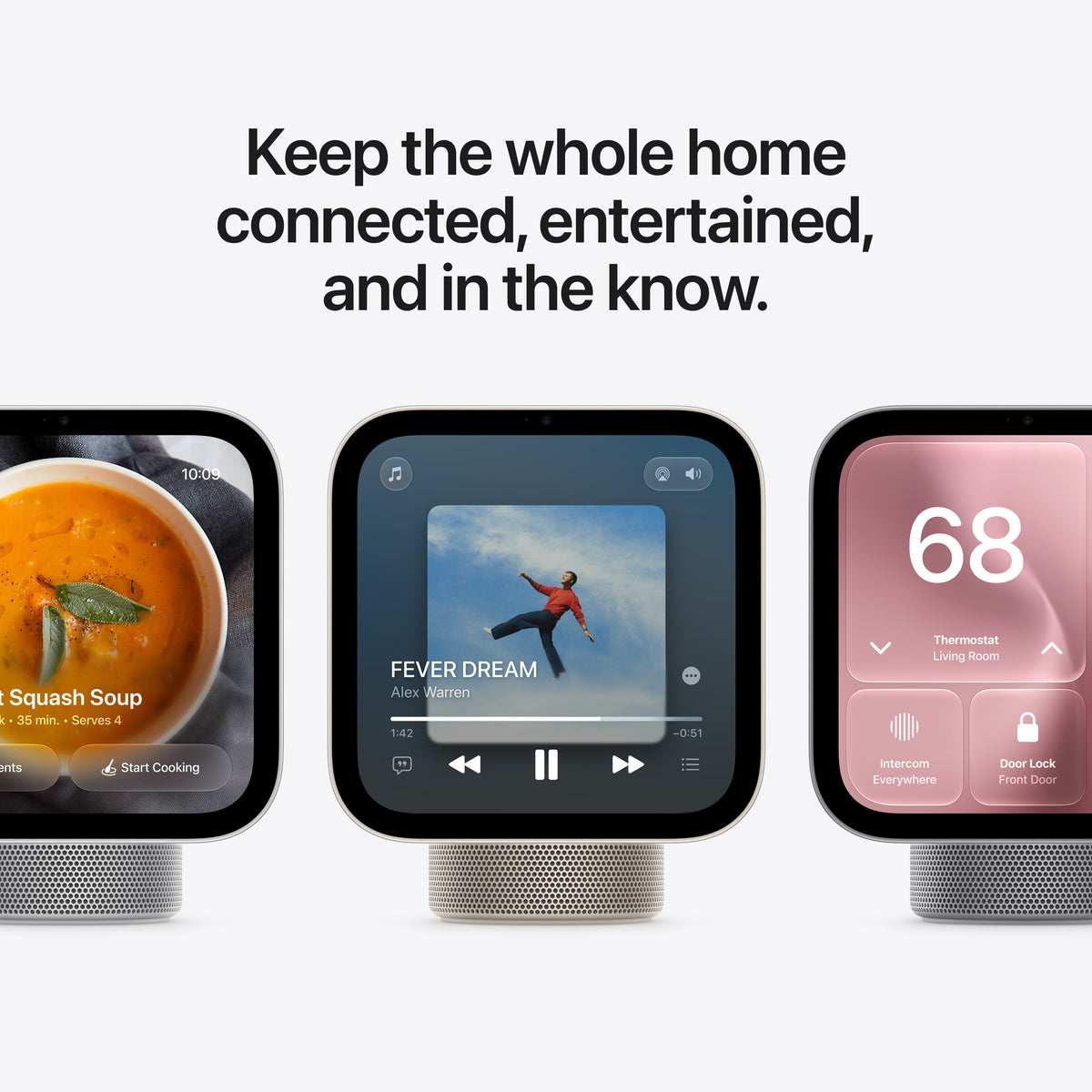 Apple HomeView - Silver