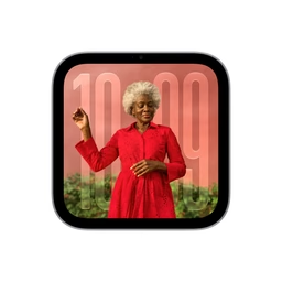 Apple HomeView
